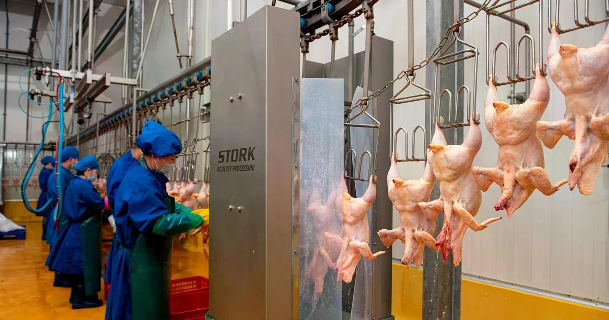 Hà Nội lên phương án xử lý 578 cơ sở giết mổ không đủ điều kiện hoạt động