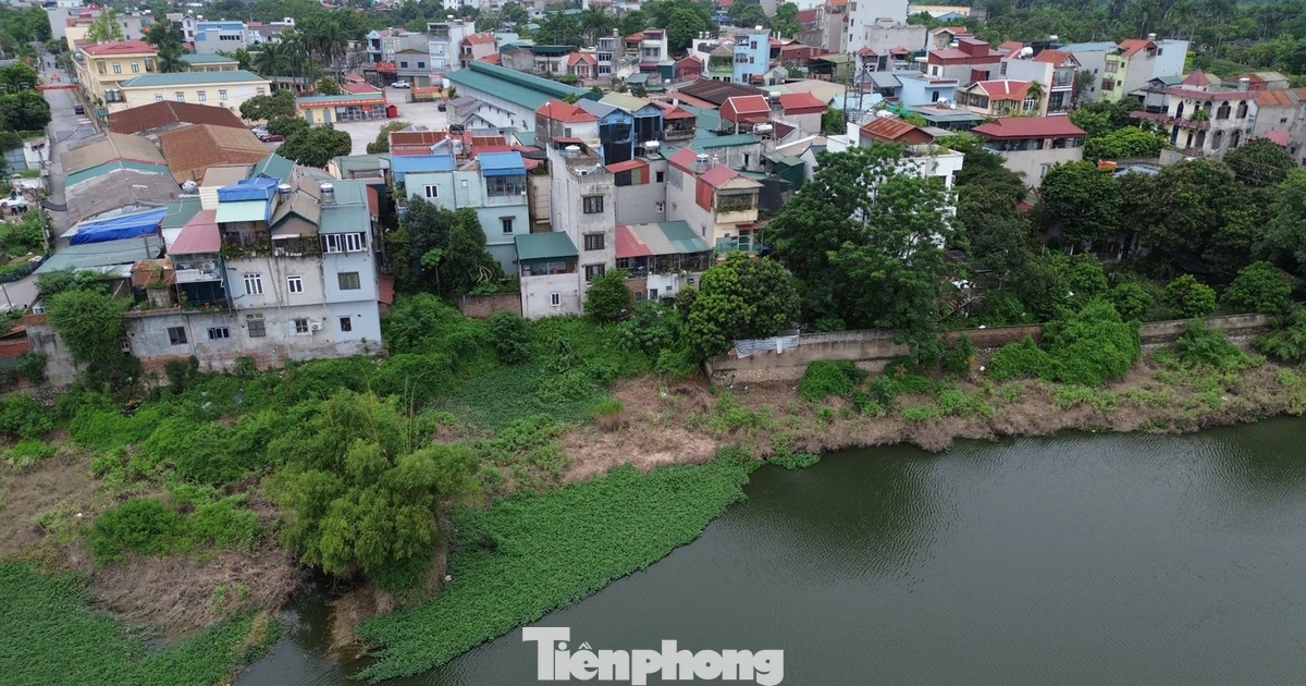 tienphong.vn