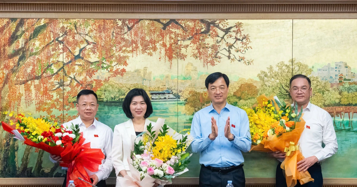 Hà Nội bầu Phó Trưởng đoàn ĐBQH và đại biểu chuyên trách