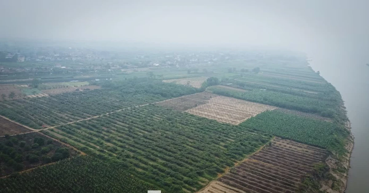 Diễn biến mới vụ 119 hộ dân kiến nghị chính quyền địa phương