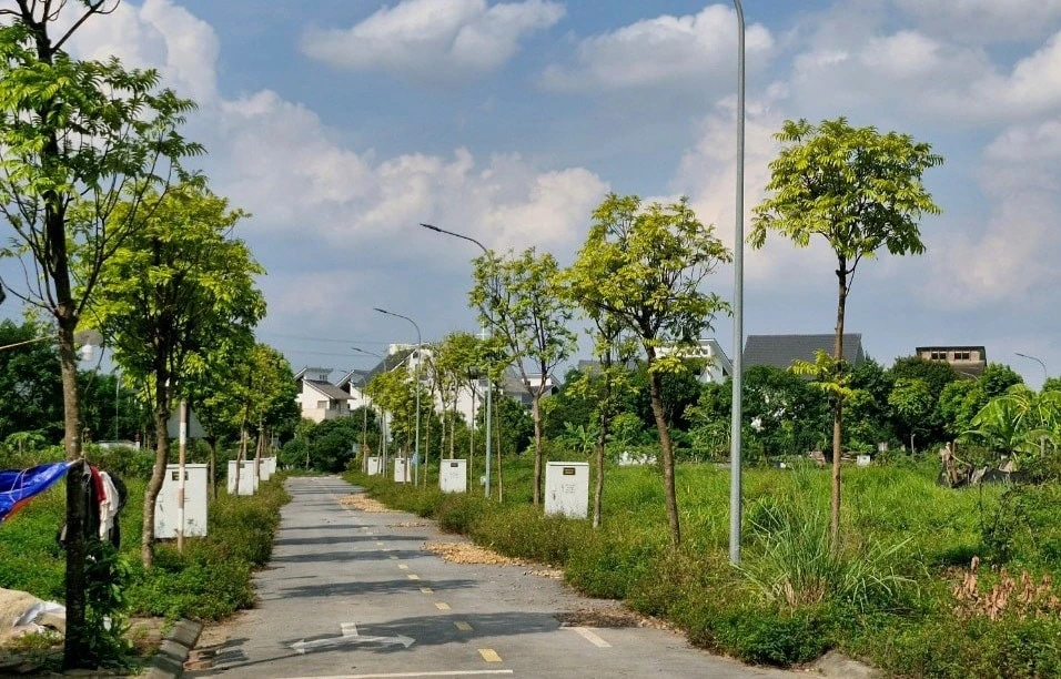 Hà Nội xem xét ban hành chính sách giải quyết dứt điểm vướng mắc về đất dịch vụ