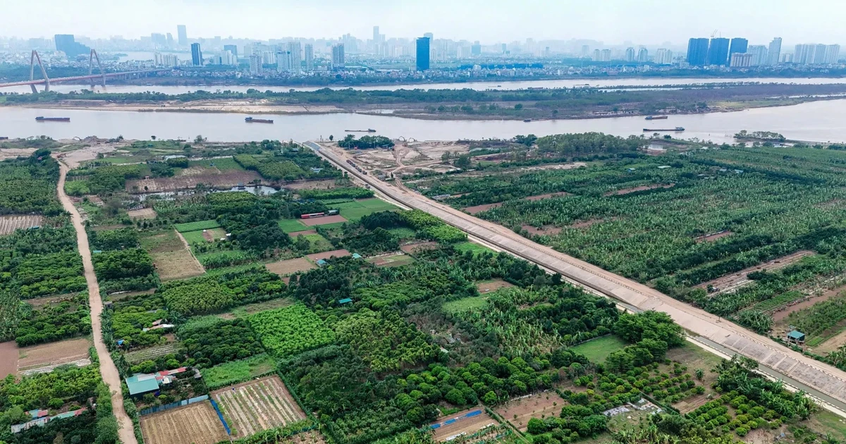 Hà Nội: Quy định chi tiết công trình được xây dựng trên đất nông nghiệp khu vực bãi sông