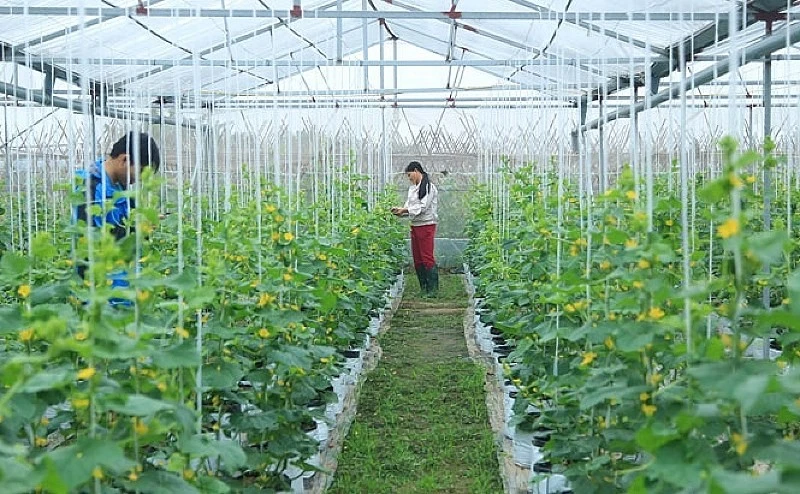 Hà Nội: UBND cấp xã được cấp phép xây dựng trên đất nông nghiệp