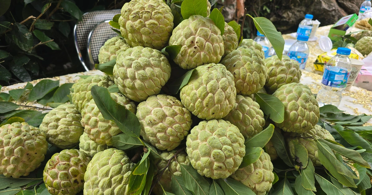 Na '3 sao' Thái Nguyên