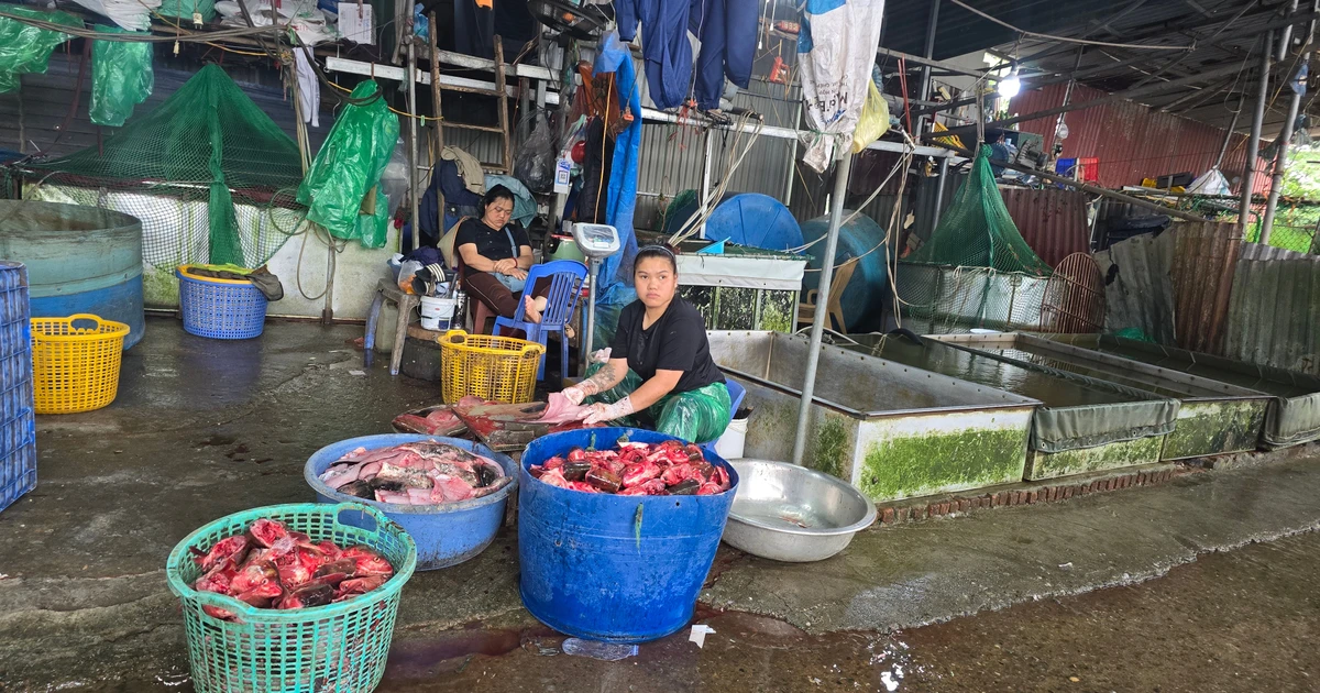 Hà Nội: Chợ cá Yên Sở trước ngày giải tỏa