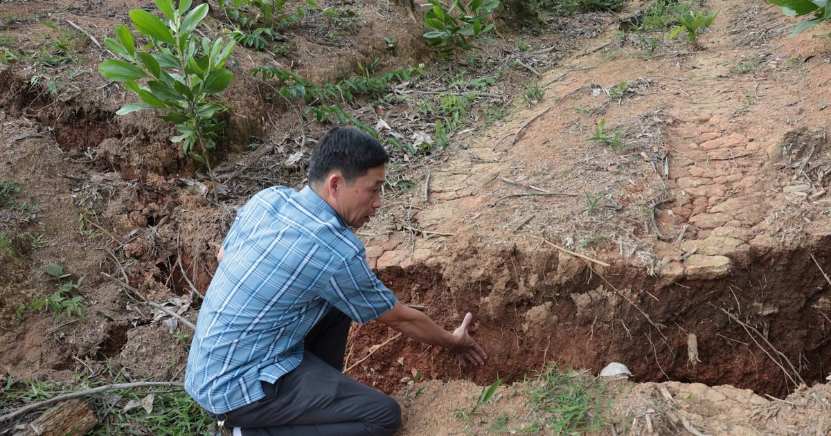 Sạt lở sau mưa lớn ở Thái Nguyên, nhiều hộ dân phải di dời