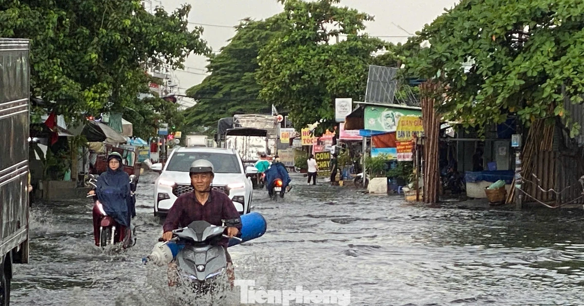 Triều cường rằm tháng Chạp ở TPHCM có thể chạm báo động 3, nguy cơ ngập vùng trũng