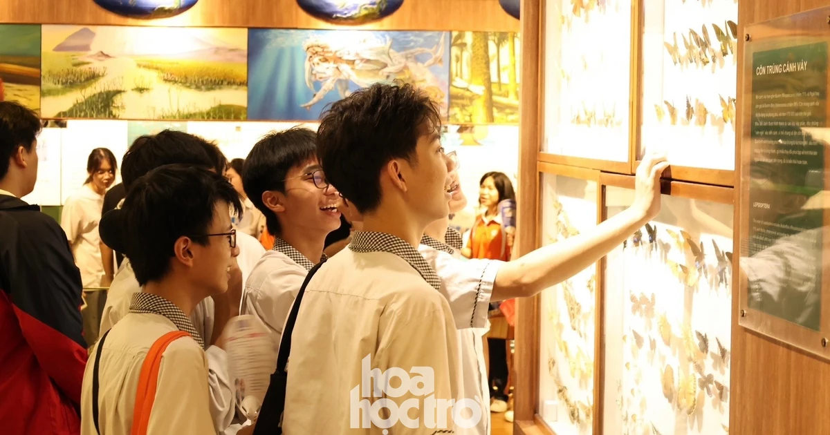 "Sít-rịt": Đi Ngày hội tuyển sinh Khoa học và Công nghệ được khám phá miễn phí Bảo tàng Thiên nhiên