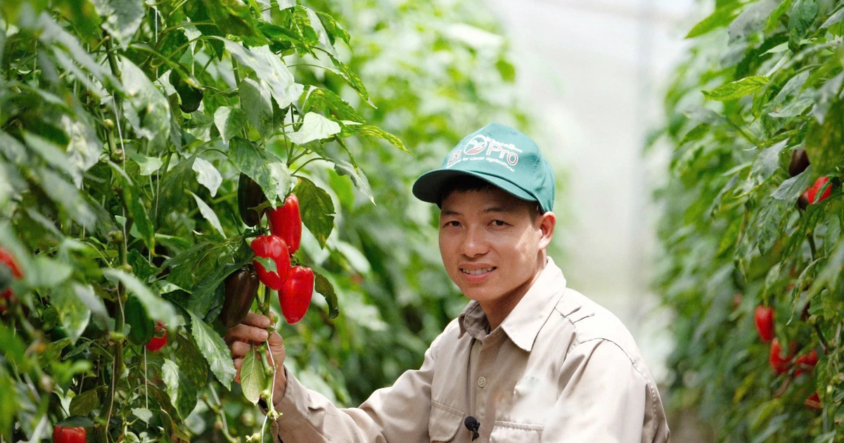 Bí quyết làm giàu của anh giám đốc HTX nông nghiệp 'tay ngang'