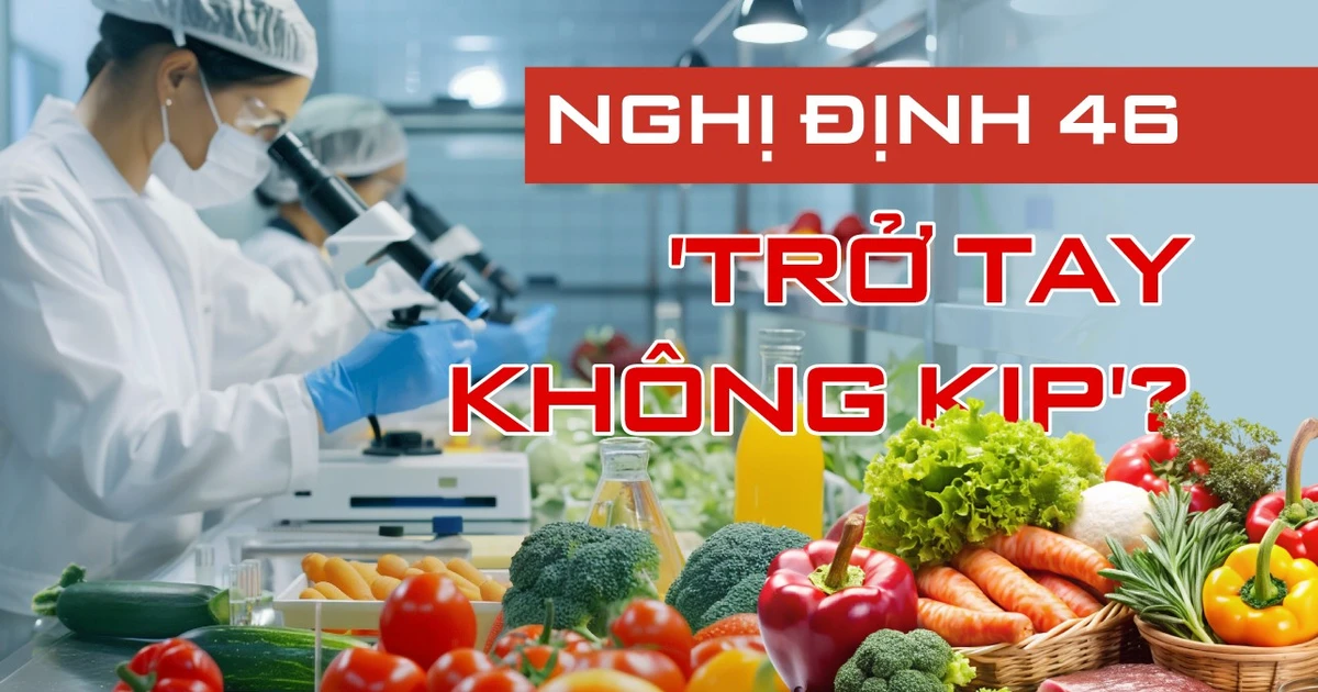 Nhìn lại tình cảnh nông sản mắc kẹt ở cửa khẩu vừa qua