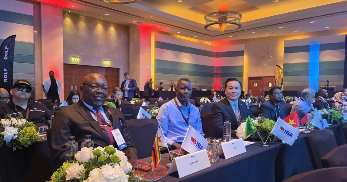 Chủ tịch lâu không thấy mặt, Liên đoàn Quyền Anh có người mới