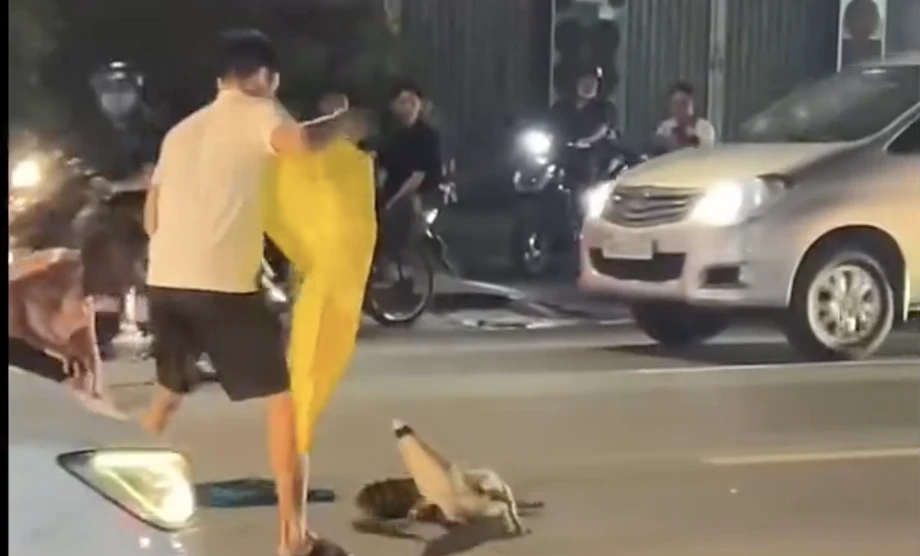 [Clip] Thót tim cảnh cá sấu 'dạo chơi' trên đường giữa trung tâm TP.Đồng Nai
