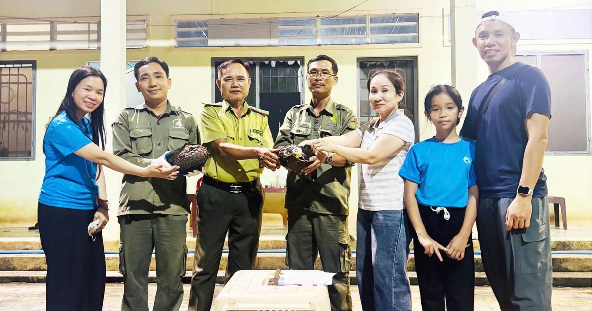 Hai hộ dân giao nộp cá thể động vật rừng quý hiếm