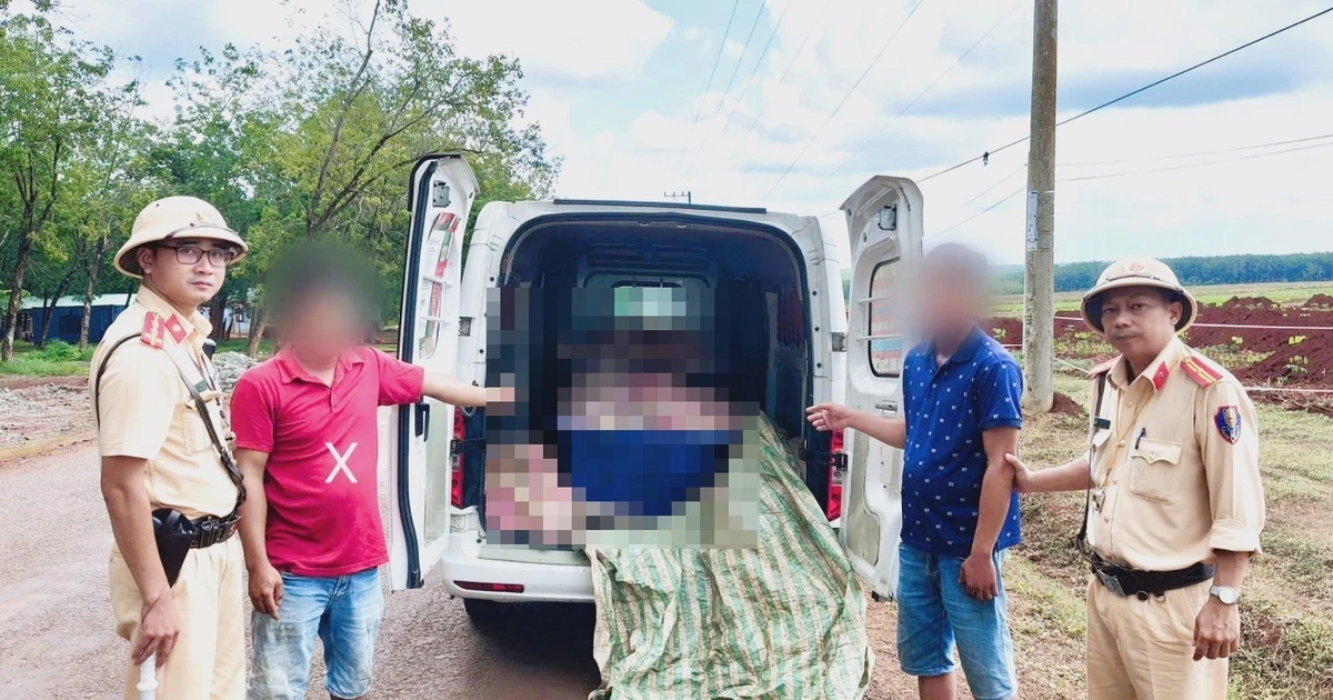 Phát hiện hơn 1,1 tấn thịt heo bốc mùi đang vận chuyển về TPHCM tiêu thụ