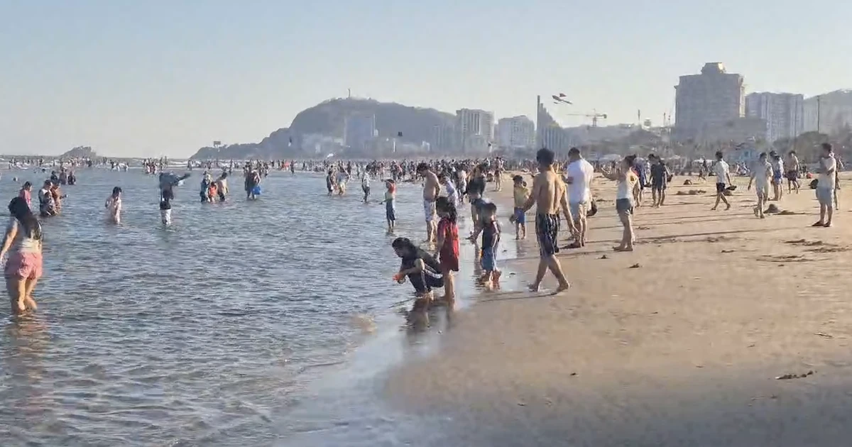 Sâu biển dày đặc, nhiều du khách đến Vũng Tàu ngao ngán