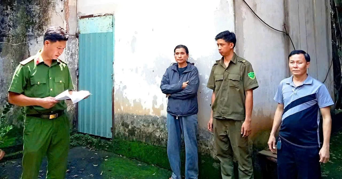 Dàn cảnh mua bán dâm, dùng vũ lực đe dọa ép khách vào quán nước để cưỡng đoạt tài sản