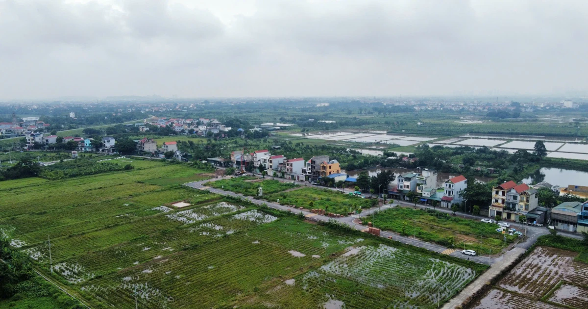 Kéo dài miễn thuế sử dụng đất nông nghiệp thêm 5 năm