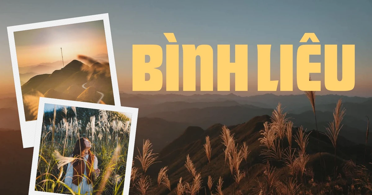 Vi vu "Sapa thu nhỏ": Đắm say vẻ đẹp hùng vĩ và nên thơ của núi rừng Bình Liêu