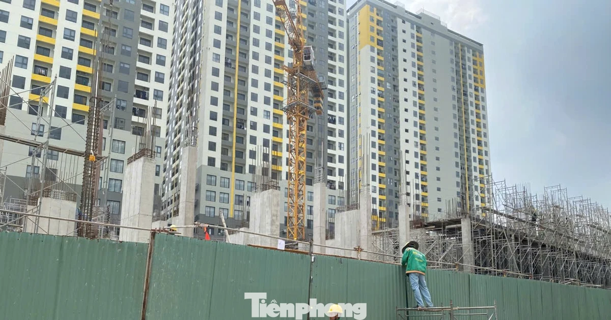 tienphong.vn