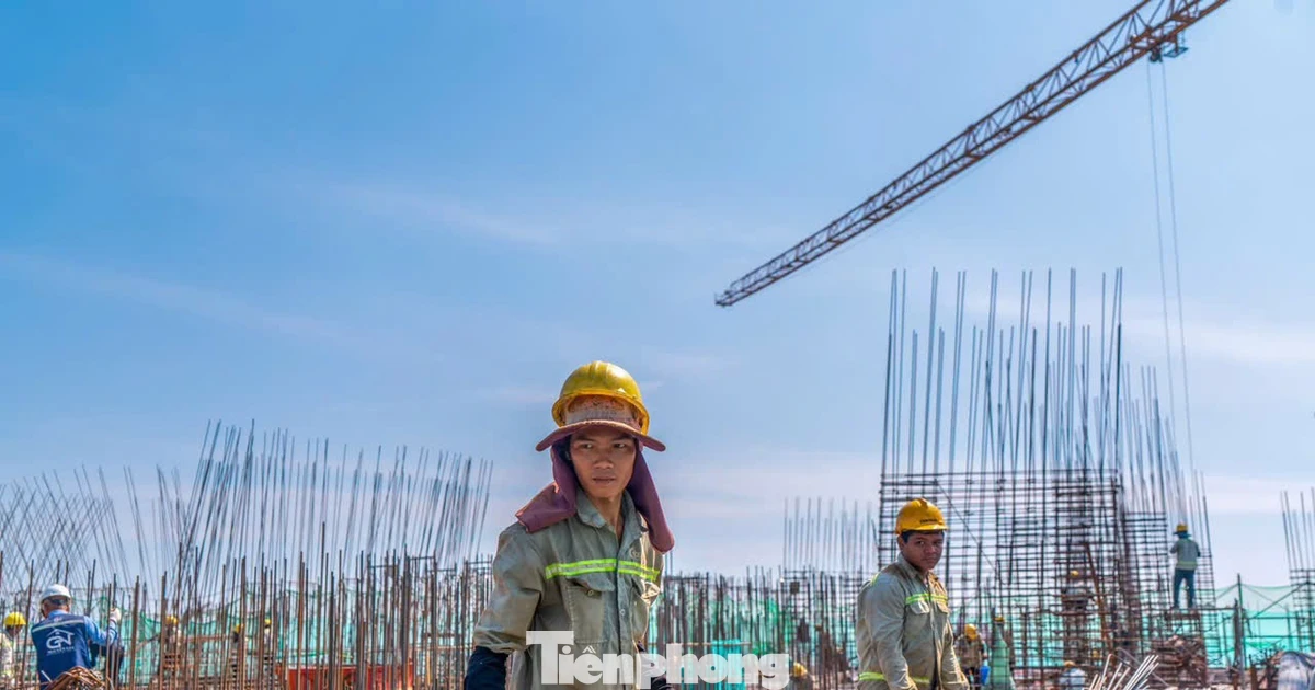 TPHCM kiến nghị loạt cơ chế để phát triển nhà ở xã hội, nhà cho thuê
