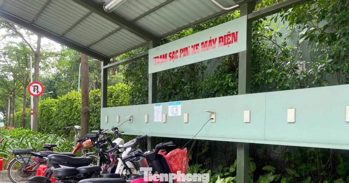 tienphong.vn