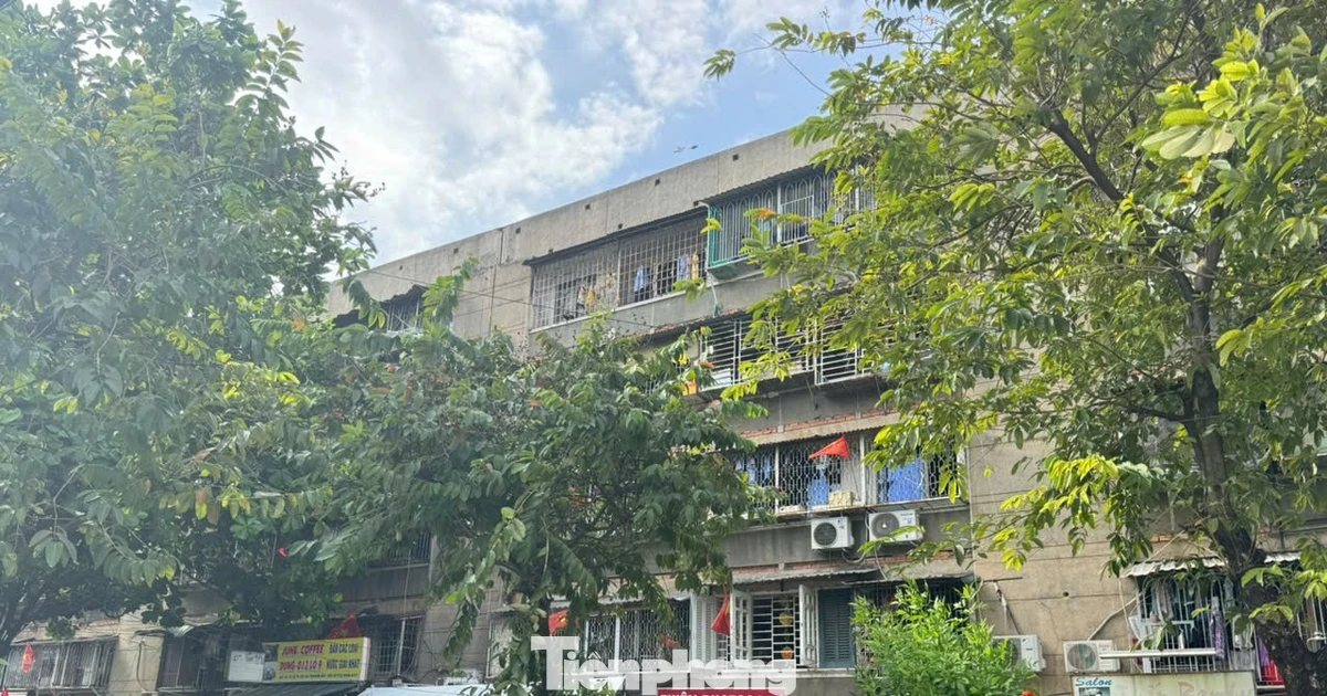 TPHCM 'thúc' tiến độ cải tạo chung cư cũ