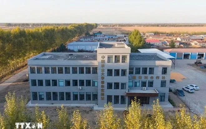 Trung Quốc điều chỉnh hàng nghìn chương trình đại học để phù hợp nhu cầu kinh tế – xã hội