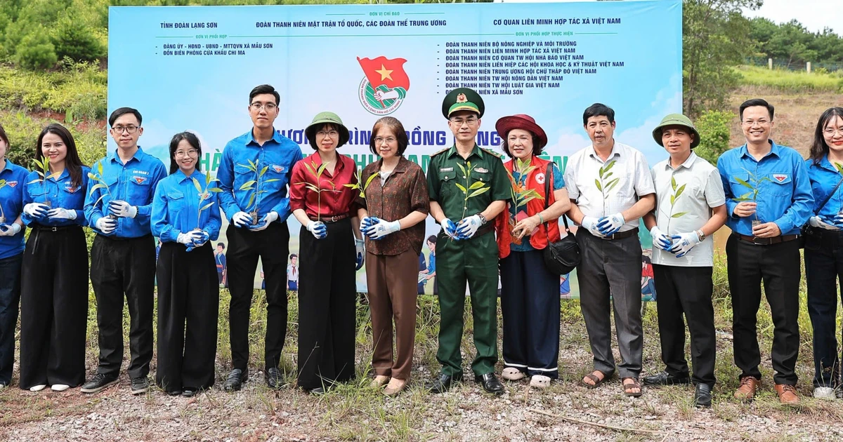 Hàng nghìn cây giống, nhiều công trình tuổi trẻ đến với vùng biên Chi Ma