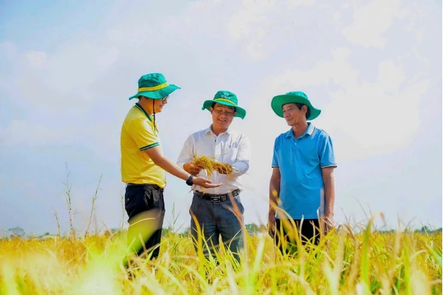 Mùa Vụ Thắng Lớn 2026: Hành trình tri ân thiết thực từ phân bón Cà Mau dành cho nhà nông Việt