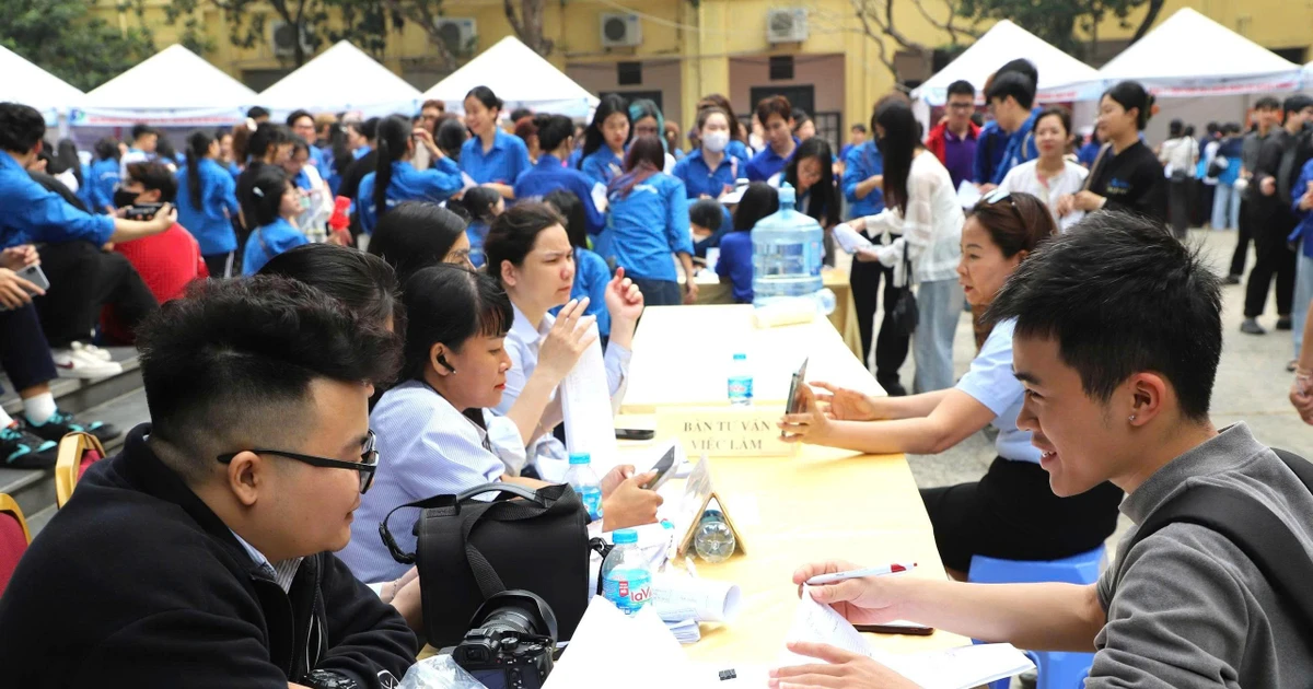Giúp sinh viên tìm việc làm 'thời AI'