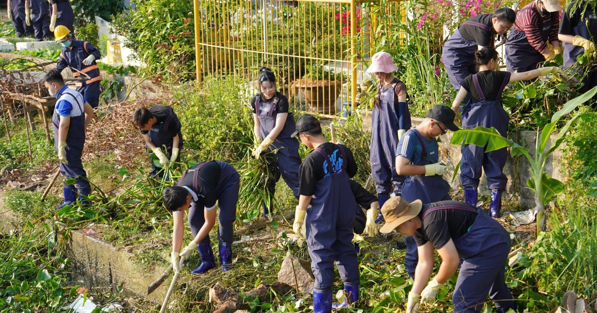 Thành lập các đội hình 'chiến binh xanh' bảo vệ nguồn nước