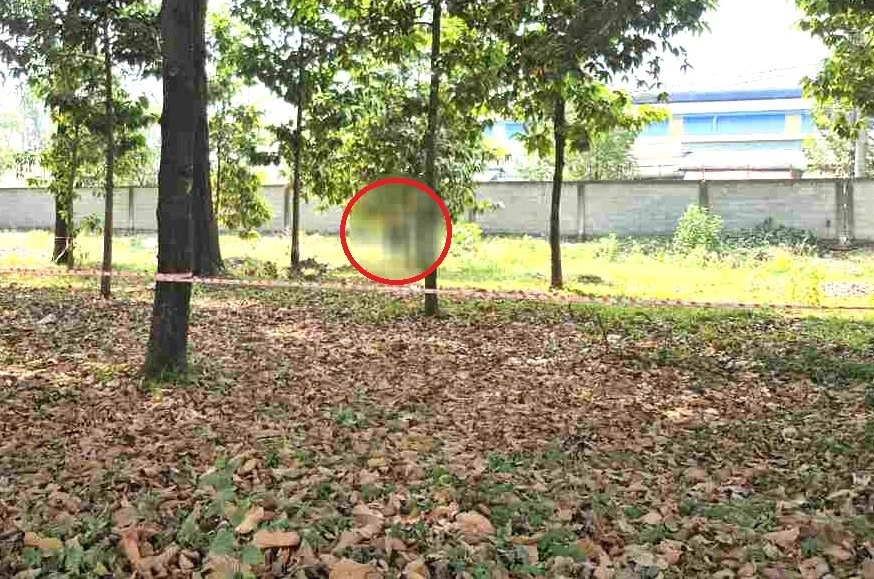 Người đàn ông tử vong treo lơ lửng trên cây tại khu công nghiệp