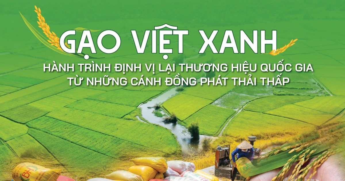 Gạo Việt xanh, phát thải thấp: Định vị thương hiệu quốc gia trên bản đồ nông nghiệp toàn cầu