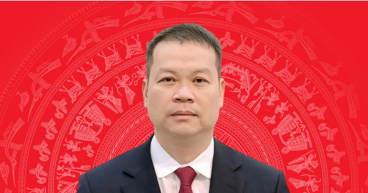 Chân dung tân Chủ tịch UBND TP. Đà Nẵng Nguyễn Mạnh Hùng