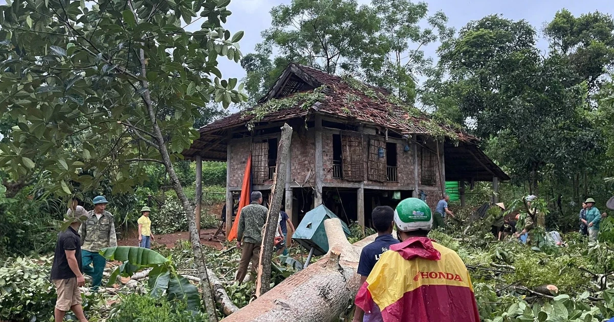 Giông lốc ở Phú Thọ làm 1 người chết, 304 ngôi nhà, 9 trường học hư hỏng