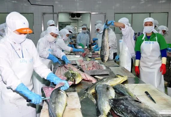 Xuất khẩu thủy sản sang Mỹ, EU lo ‘tắc’ vì thủ tục