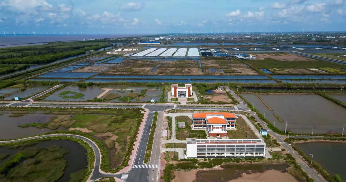 Thanh tra toàn diện khu công nghệ cao phát triển tôm Bạc Liêu