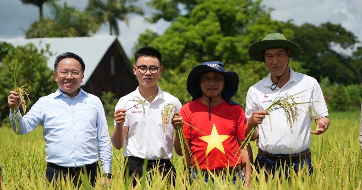 Tình hữu nghị bền chặt Việt Nam - Cu Ba mãi không đổi qua những thước phim đặc biệt