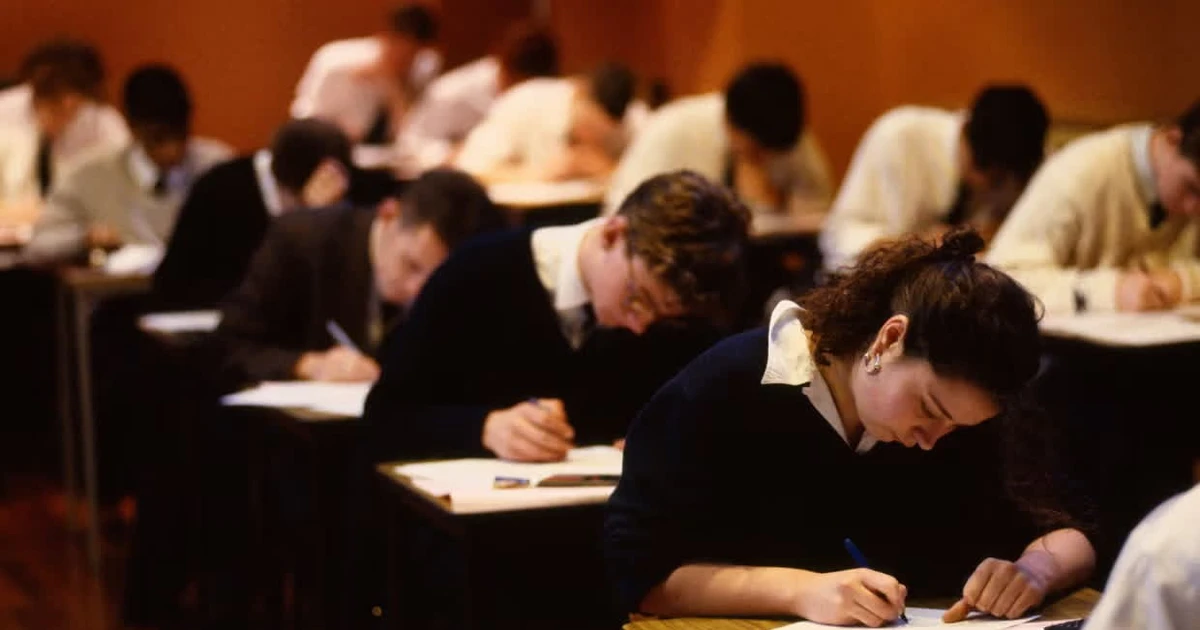 Đâu chỉ có IELTS, Gen Z đang đổ xô đi săn chứng chỉ PTE và DET vì điều gì?