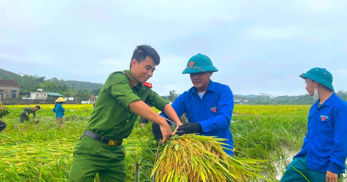 Công an, thanh niên Hà Tĩnh giúp người dân gặt lúa sau giông lốc, mưa đá