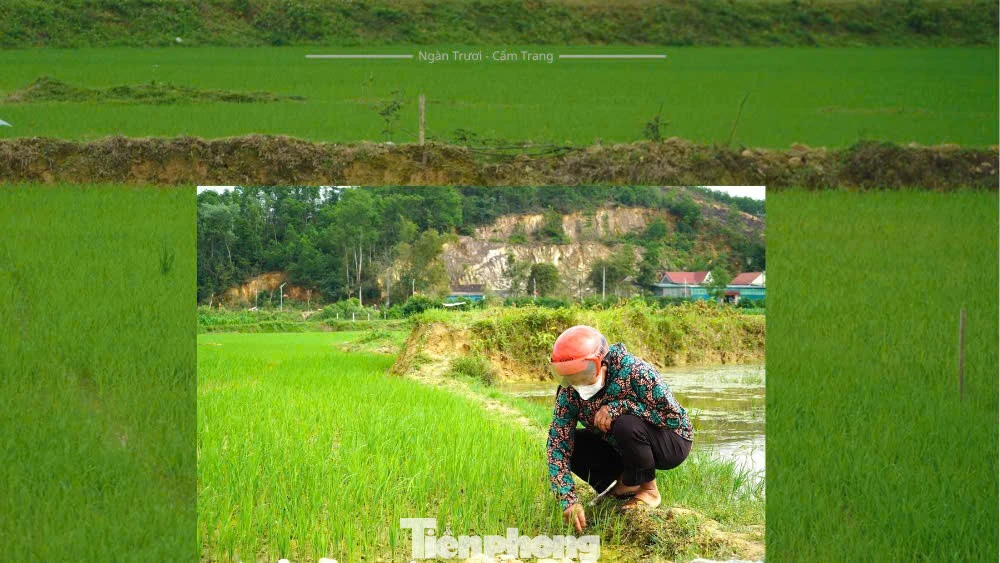 Kỳ 2: Hoàn thiện 'xương sống' siêu công trình thủy lợi