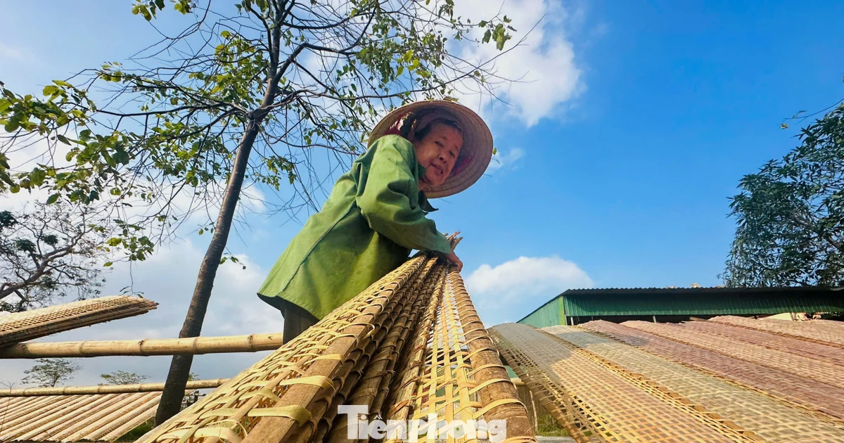 Làng bánh đa nem truyền thống tất bật chạy đua sản xuất hàng Tết