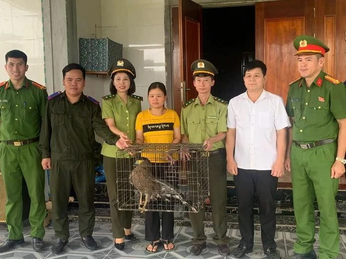 Động vật 'lạ' xuất hiện trong khu dân cư