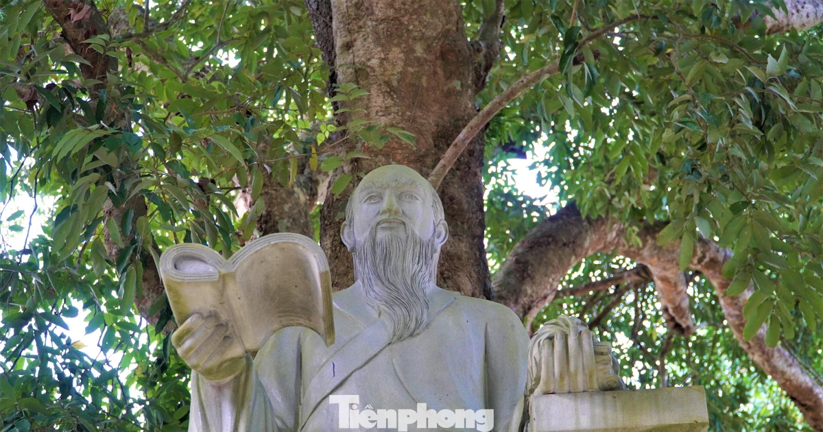 Cây vải gần 300 năm tuổi gắn với cuộc đời Hải Thượng Lãn Ông