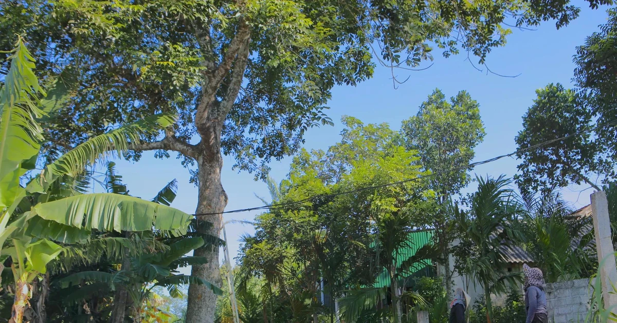 Đặc sản Hà Tĩnh mất mùa