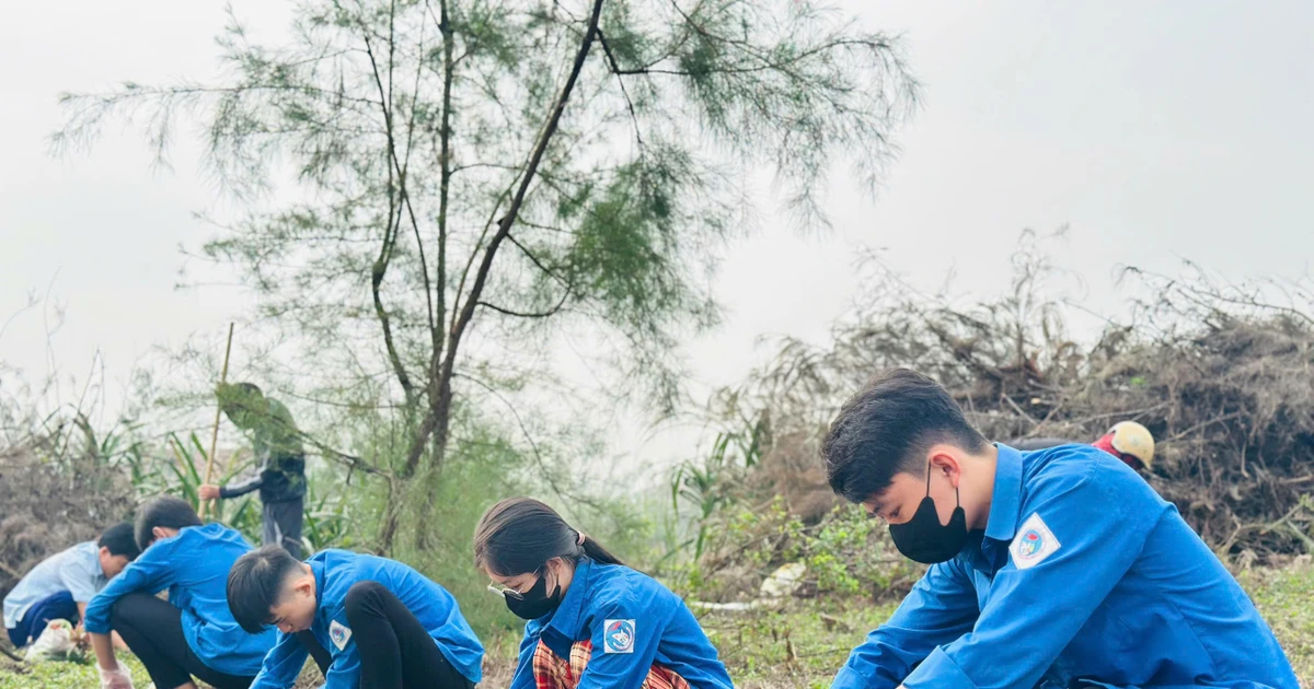 Thanh niên trồng cây khôi phục hệ sinh thái sau bão, lắp đặt hệ thống đường điện