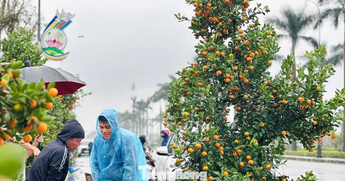 Lao động Hà Tĩnh tất bật mưu sinh những ngày giáp Tết