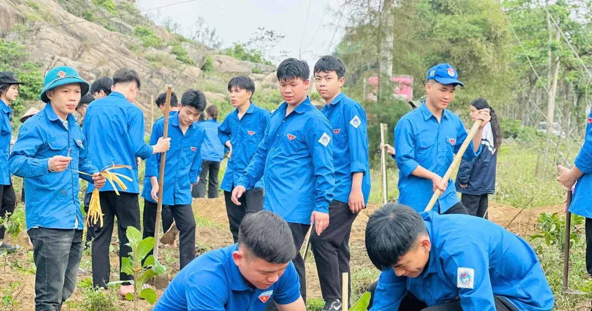 Tuổi trẻ Vĩnh Long, Hà Tĩnh làm sạch biển, trồng cây xanh