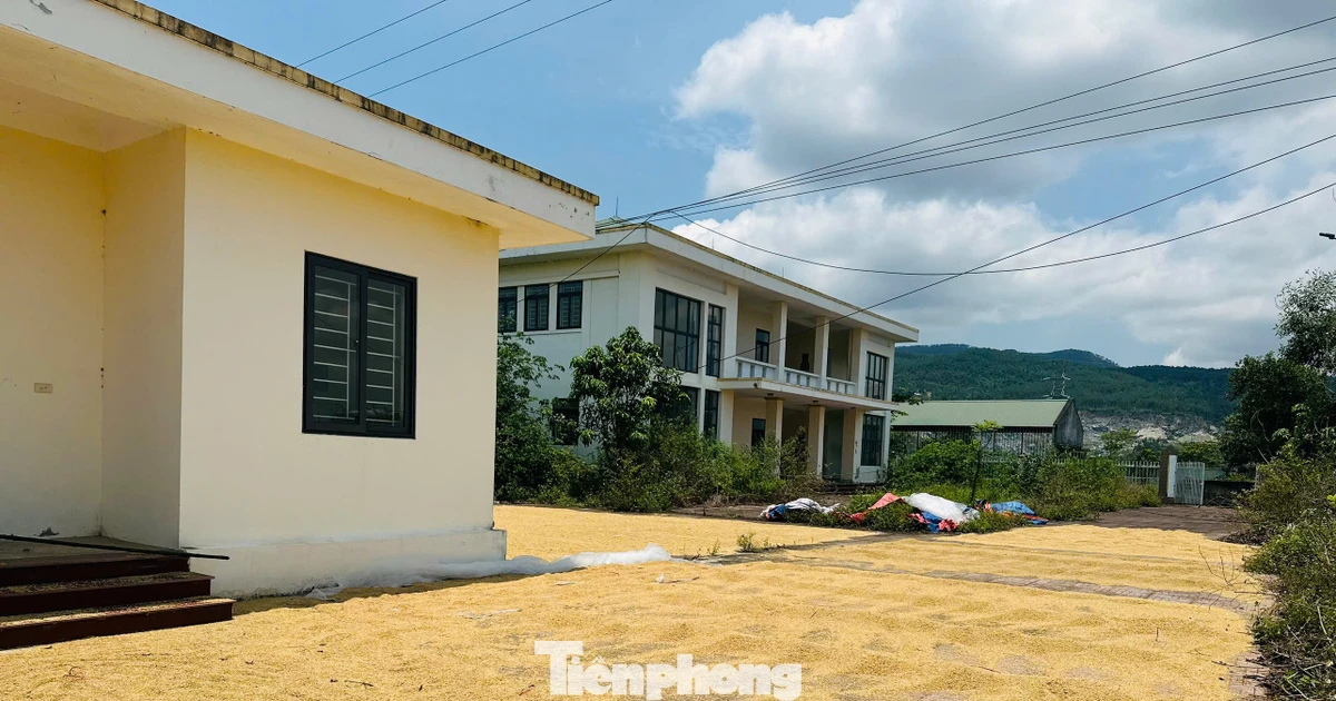 Trạm kiểm dịch động vật xây xong bỏ hoang, thành nơi phơi lúa