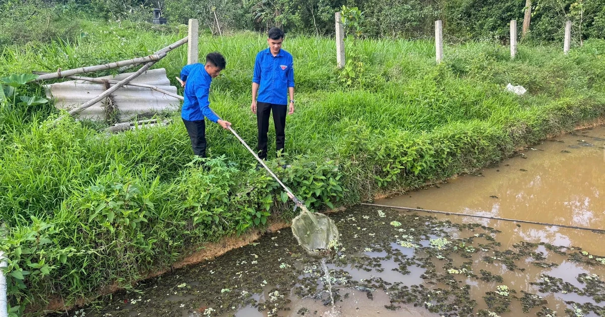 Những người trẻ quyết làm giàu trên vùng đất khó